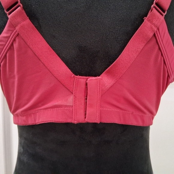 NEW Ambrielle' Blood Red Embroidered Roses Bra     Size 40D - Picture 6 of 8